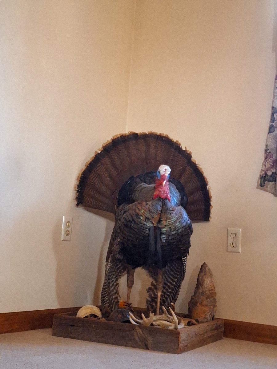 KilarSquad's tweet photo. Happy Thanksgiving. Hope everyone has a wonderful and safe holiday 😊 https://t.co/0tGrVga2XL