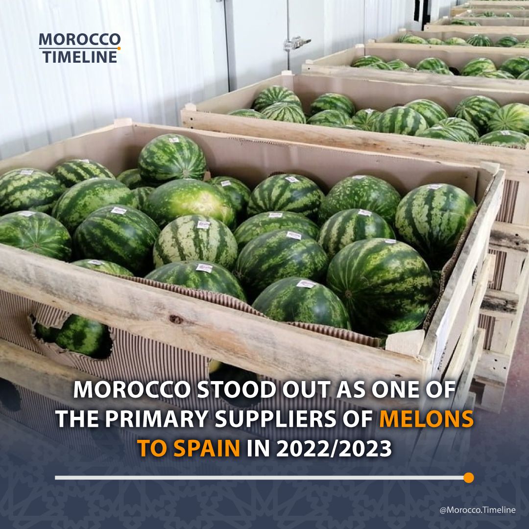 MoroccoTimeline's tweet photo. During the 2022/2023 campaign, 🇲🇦 #Morocco emerges as second-largest 🍉 #melon supplier to 🇪🇸 #spain, securing the second position after Brazil with a market share of 17.09%. https://t.co/QhWW9myiPl