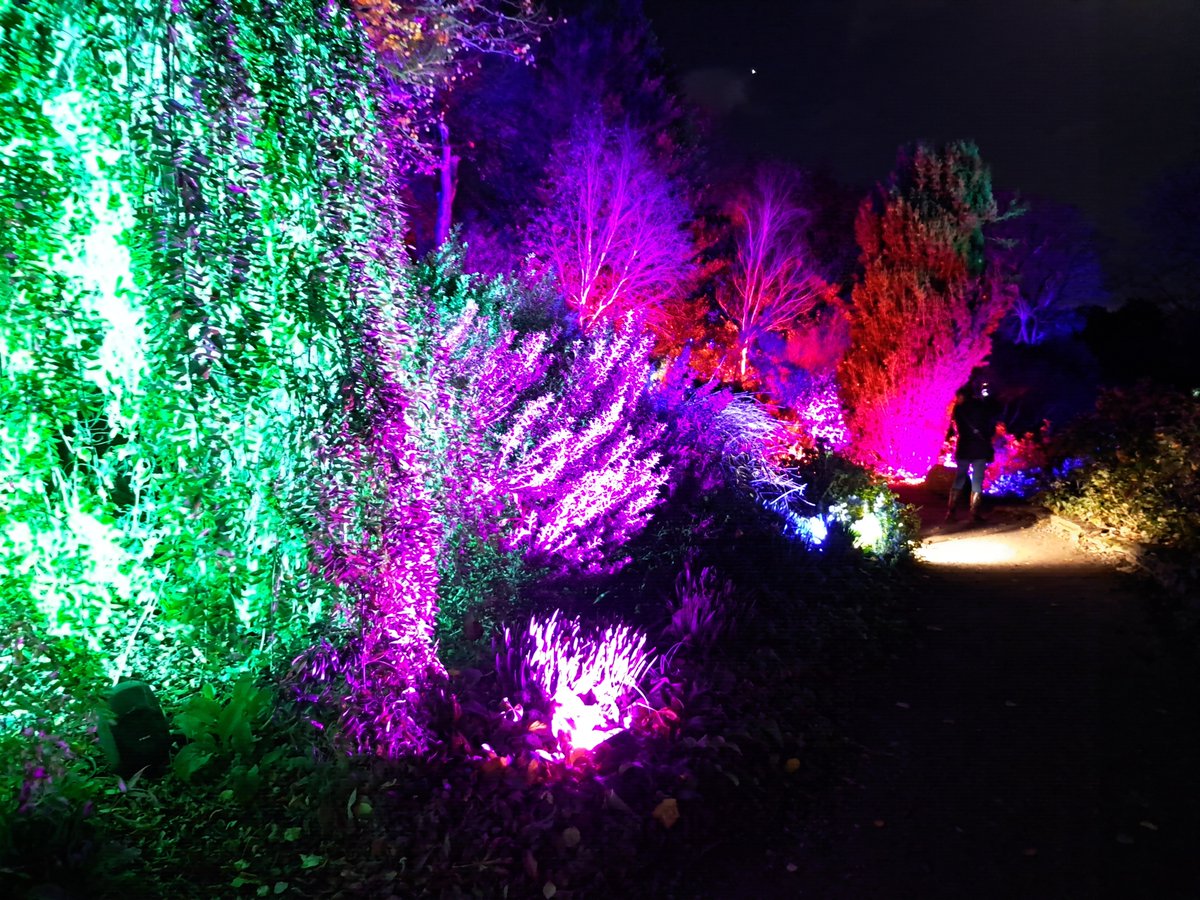 Tonight marked the first night of the spectacular Illuminate light show @HestercombeGdns - don't miss it. It's magical. somersetcountygazette.co.uk/news/23944771.…