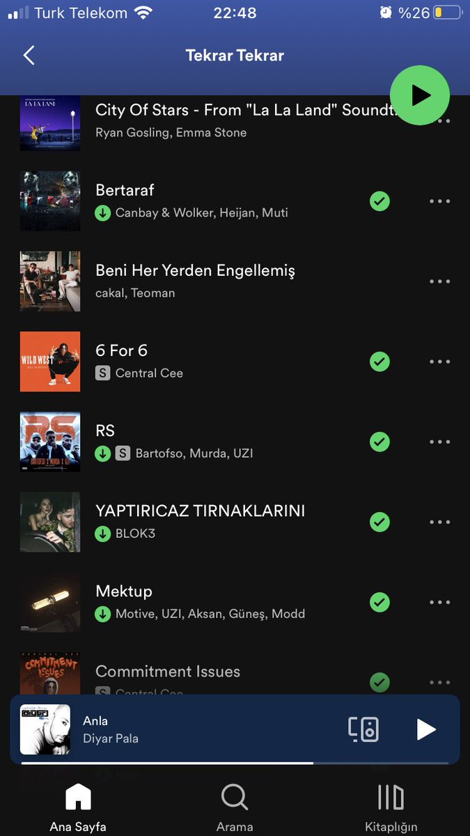 ZerenBasoglu's tweet image. niş şarkı zevkim