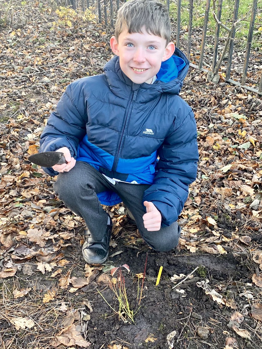 MrsMPrimary7's tweet photo. We have been planting today, thanks to @WoodlandTrust . Looking forward to ordering some more for Spring. 🌳 https://t.co/aKuSosiKti