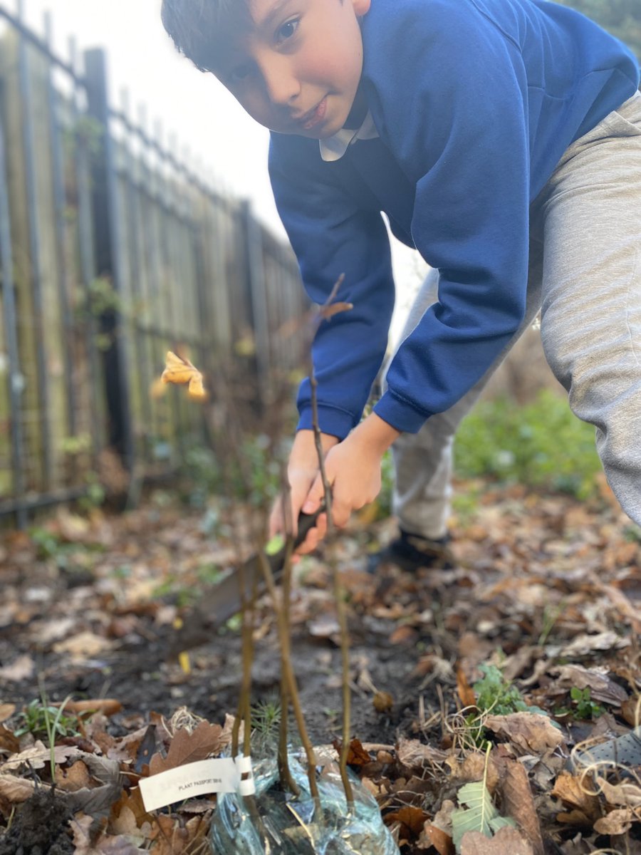 MrsMPrimary7's tweet photo. We have been planting today, thanks to @WoodlandTrust . Looking forward to ordering some more for Spring. 🌳 https://t.co/aKuSosiKti