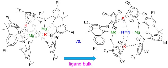 Jones Research Group (@jones_research) on Twitter photo Rahul's work on the steric control of diamide ligands (L) in the K reduction of LMg, leading to competition between formation of v. long Mg-Mg bonded (i.e. Mg(I)) and N2 activated (i.e. Mg-N2-Mg) systems is out as a pre-print. tinyurl.com/4274vk2k #ozchem <a href="/ChemistryMonash/">Monash Chemistry</a> Rahul's work on the steric control of diamide ligands (L) in the K reduction of LMg, leading to competition between formation of v. long Mg-Mg bonded (i.e. Mg(I)) and N2 activated (i.e. Mg-N2-Mg) systems is out as a pre-print. tinyurl.com/4274vk2k #ozchem <a href="/ChemistryMonash/">Monash Chemistry</a>