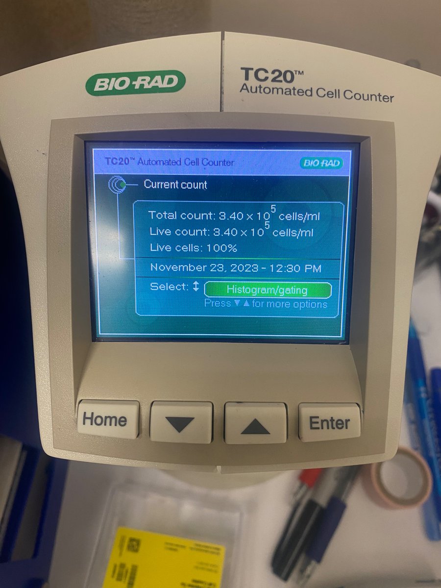 This year, I’m thankful for the small everyday victories in the lab. Happy thanksgiving everyone! #immunologymatters #changingwhatspossible