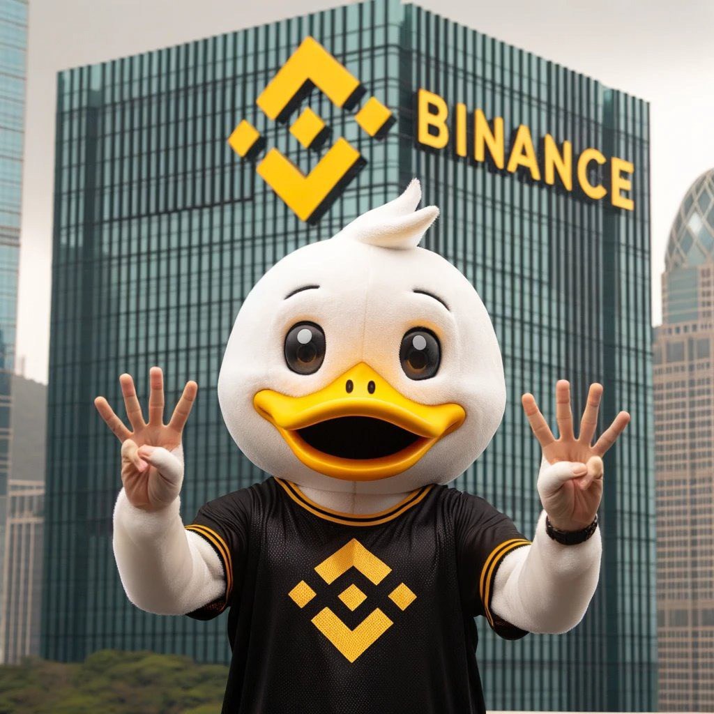BNB DUCK INU tweet media