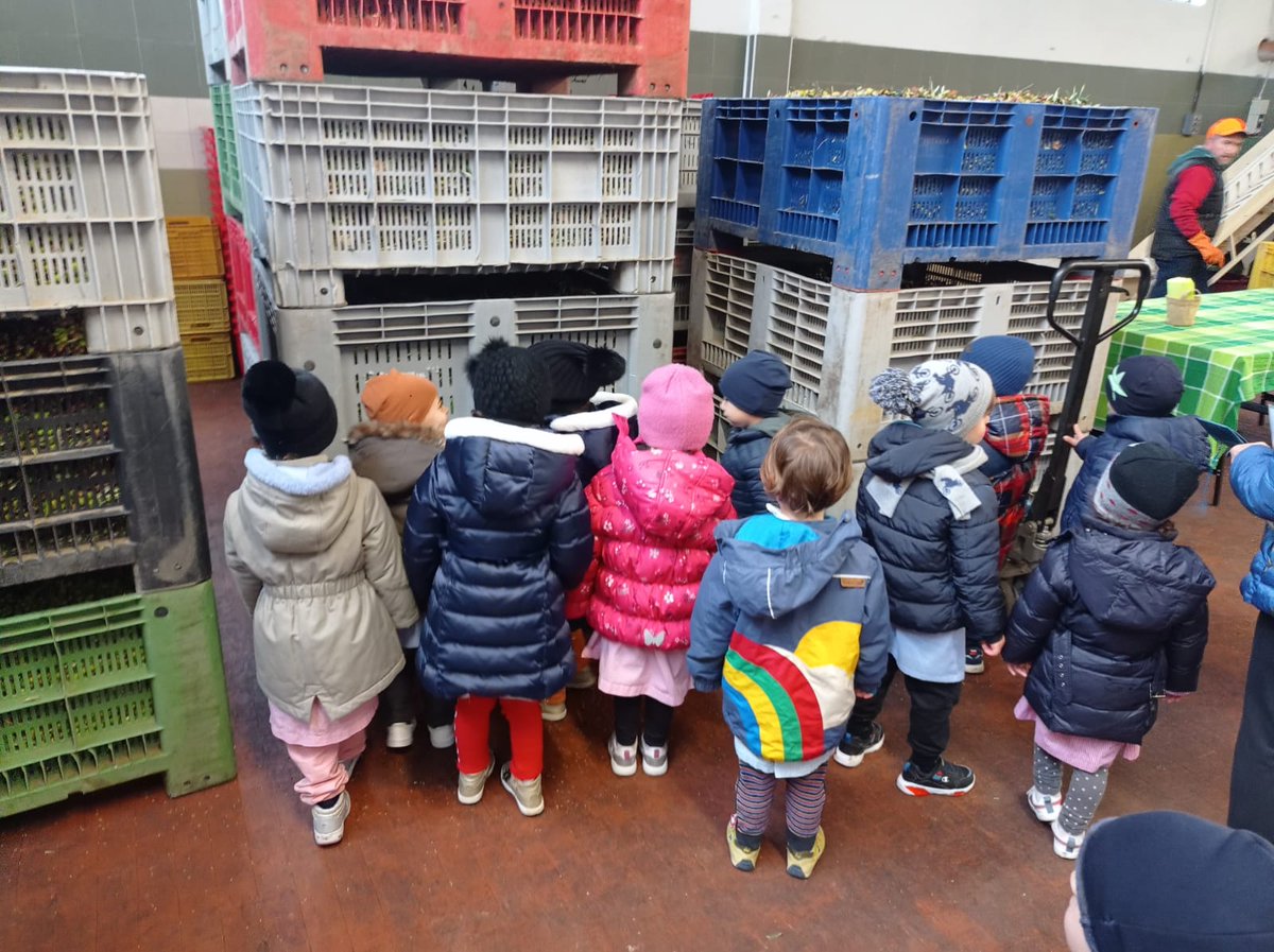 De kleuters gingen vandaag naar de frantoio (waar olijven tot olie worden geperst). 
Wie pikt mijn zoon eruit?