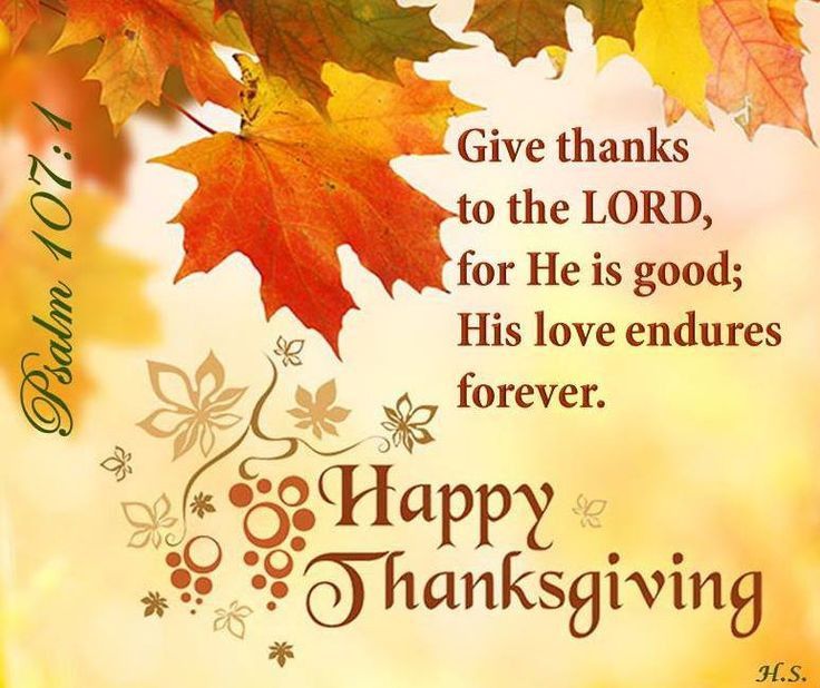 Mjsgirl82's tweet image. Happy Thanksgiving to all my #Twitfam and #Mjfam. 🍁🍂🦃