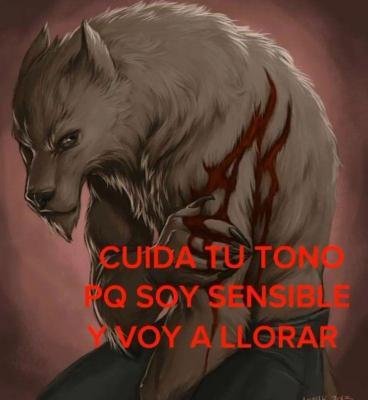 souul ​​❄️​​ (@frigosouul) on Twitter photo 