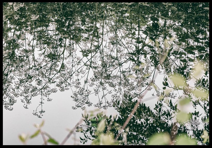 De tentoonstelling "De wandeling" van de werkgroep Conceptuele Fotografie van de #LAFV is tot en met 2 januari 2024 te zien in de <a href="/BplusC/">BplusC</a> bibliotheek in de Nieuwstraat.
lafv.nl/2023/11/21/ten…