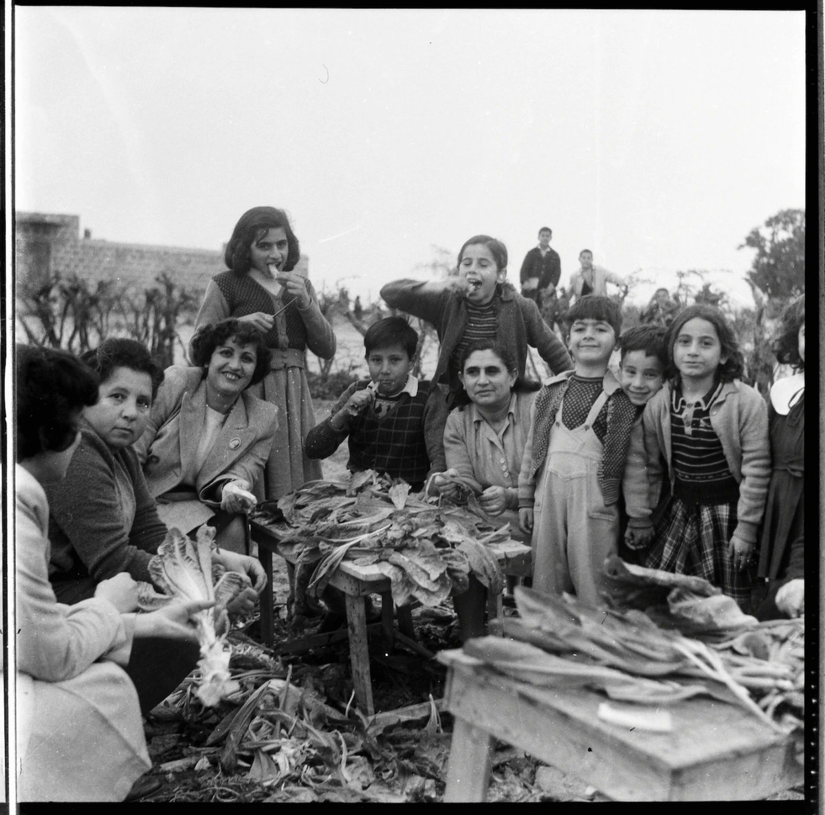 Gaza through the eyes of Kegham Djeghalian, an Armenian-Palestinian photographer He opened Gaza's first photo studio in the 1940s and lived there until the 70s His photos document life in this Palestinian city by the sea before Israel's occupation vice.com/en/article/qjp…