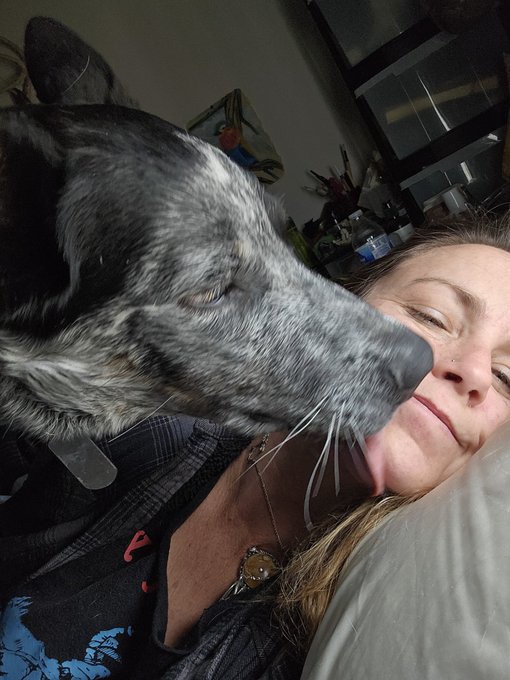 Greatful for all the furry loves I either own or take care of. https://t.co/JRaWy41E2p