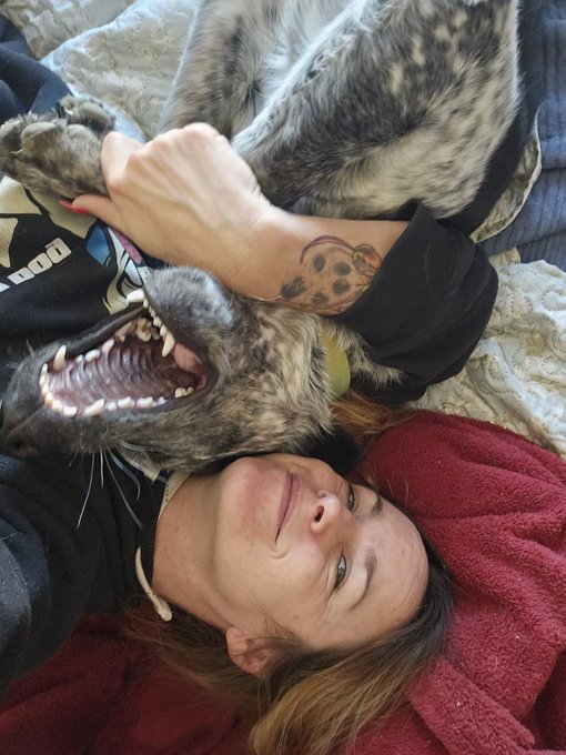 Greatful for all the furry loves I either own or take care of. https://t.co/JRaWy41E2p