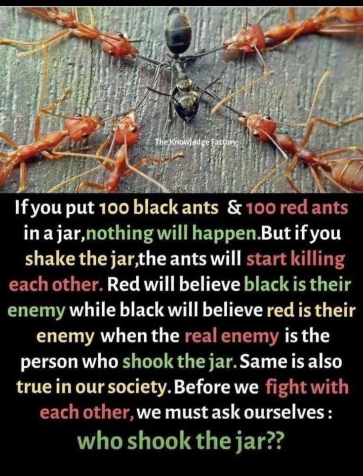 Who shook the jar…