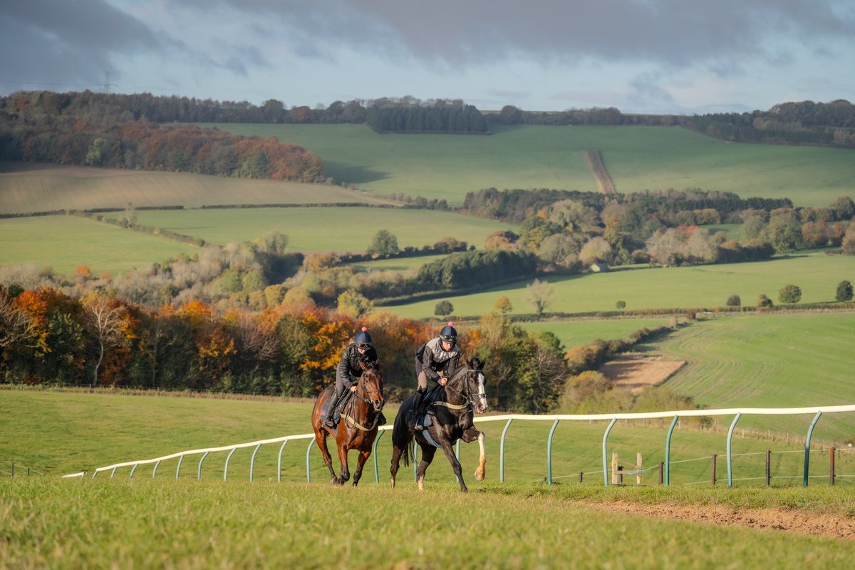 Fergal O'Brien Racing tweet media