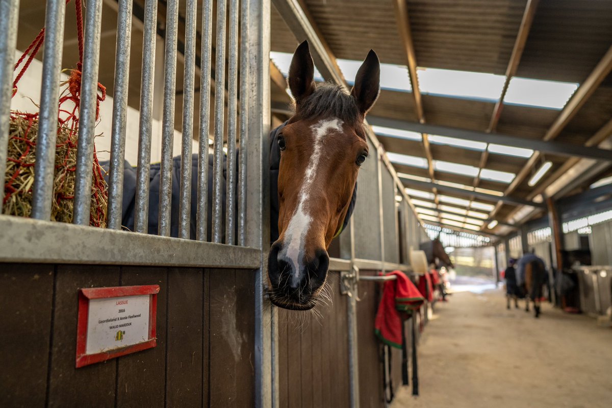 Fergal O'Brien Racing tweet media