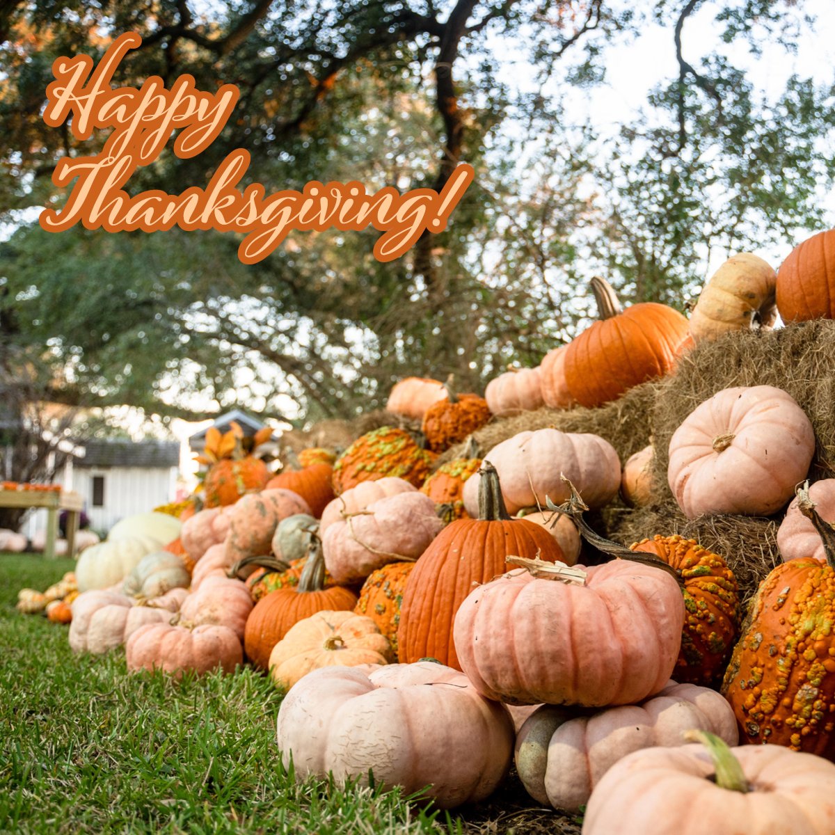 Wishing #FortBendCountyTX a joyous Thanksgiving! May your day be filled with warmth, relaxation, and cherished moments with family and friends.