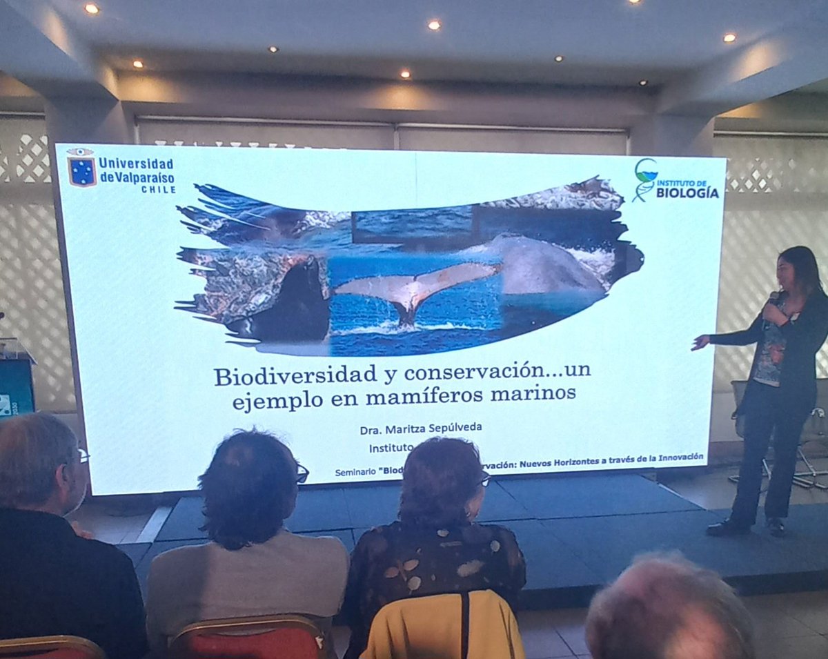 Mauricio tweet media