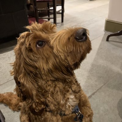 winemanUK's tweet image. #NewProfilePic