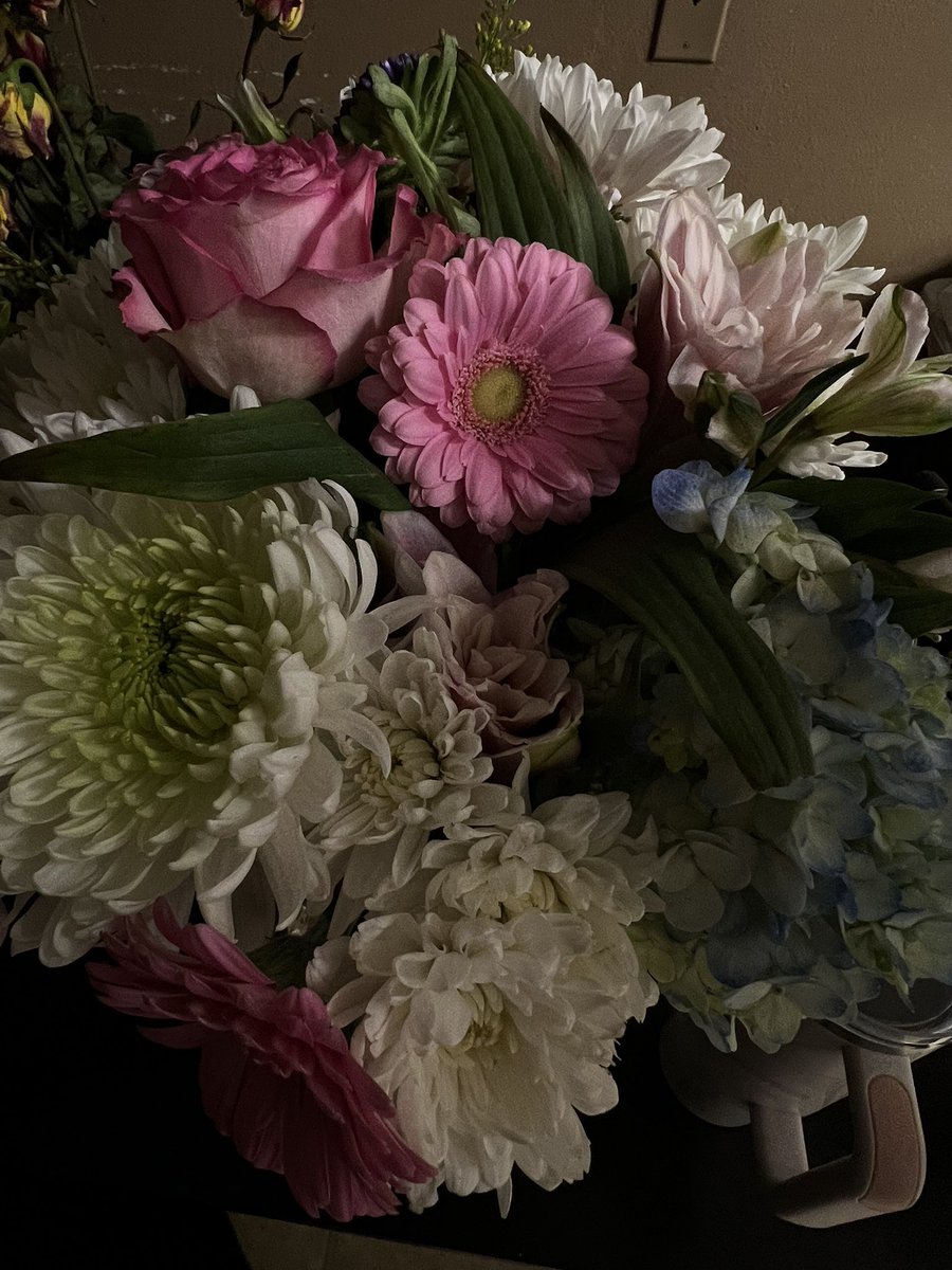 minddofmar's tweet photo. my man always gets me the prettiest flowers 🥲 https://t.co/LJ1k81RdnZ