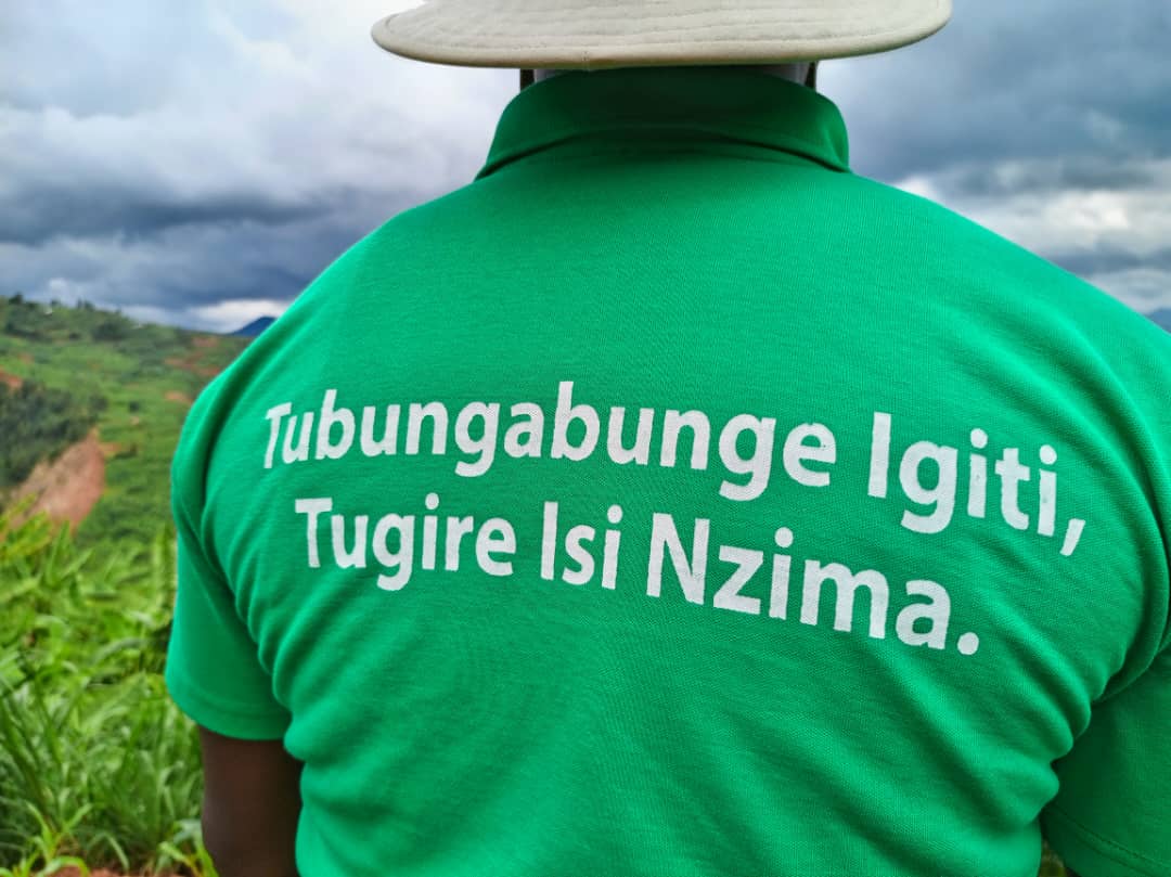 This week on the 21st and 23rd Nov 2023, @ARCOSNetwork officially launched a tree planting campaign in @NgororeroDistr @KarongiDistr we planted around 12,400 diverse trees on 80ha  under the AFR100 Project