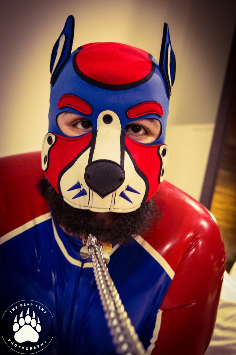 bearlensatdark's tweet photo. https://t.co/bZXjiVWrn0