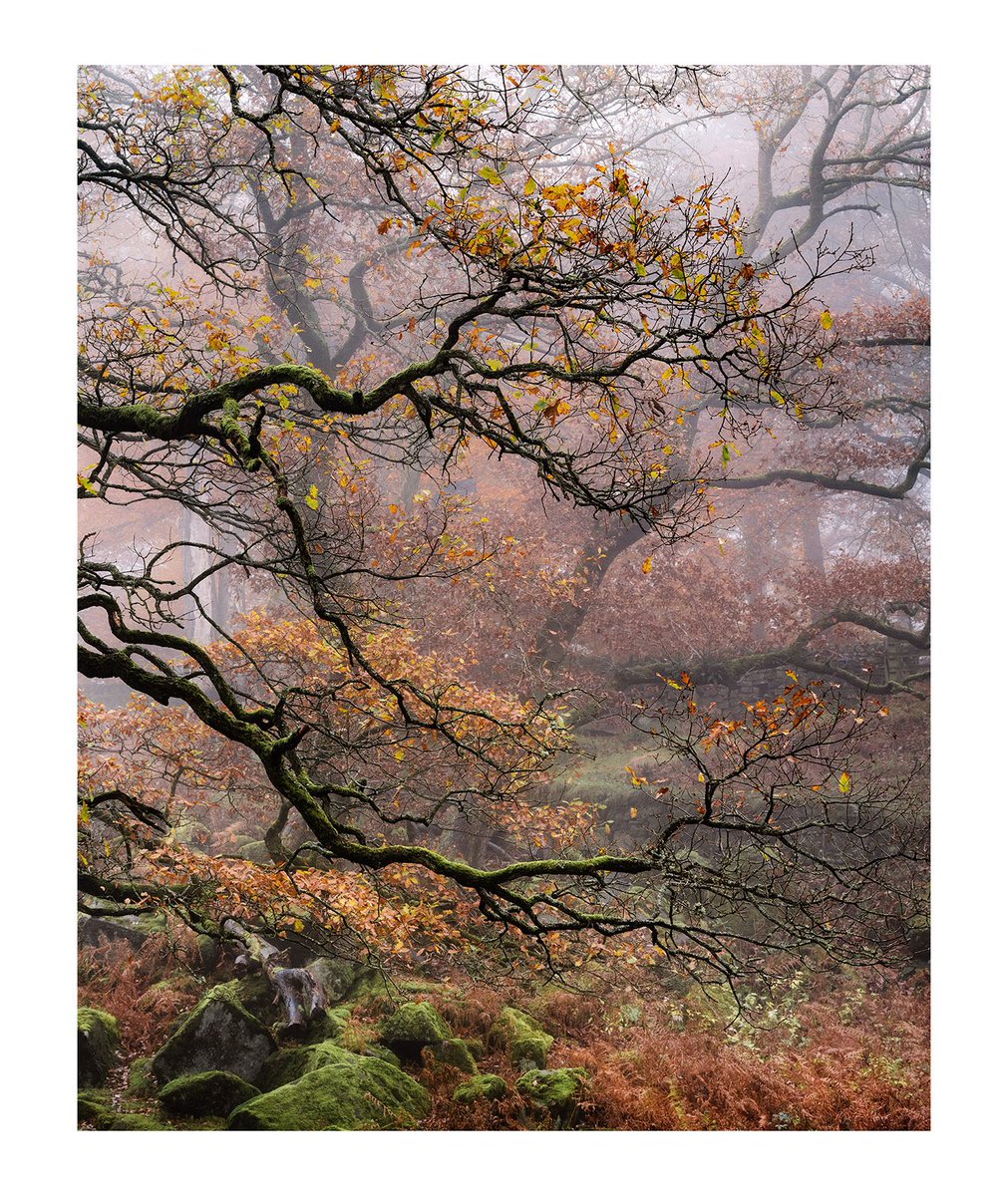 I can often get the fear when out that I won’t see images, but it’s curious how sometimes a picture shows itself. Just a passing glimpse can suggest there’s something there, tangled up in a wider view. The enjoyments trying to work out that puzzle.