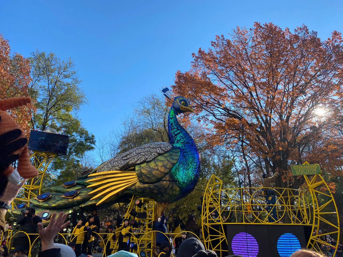 Enjoy Thanksgiving Have a blessed day, Peaceful and freedom to you guys 🌹