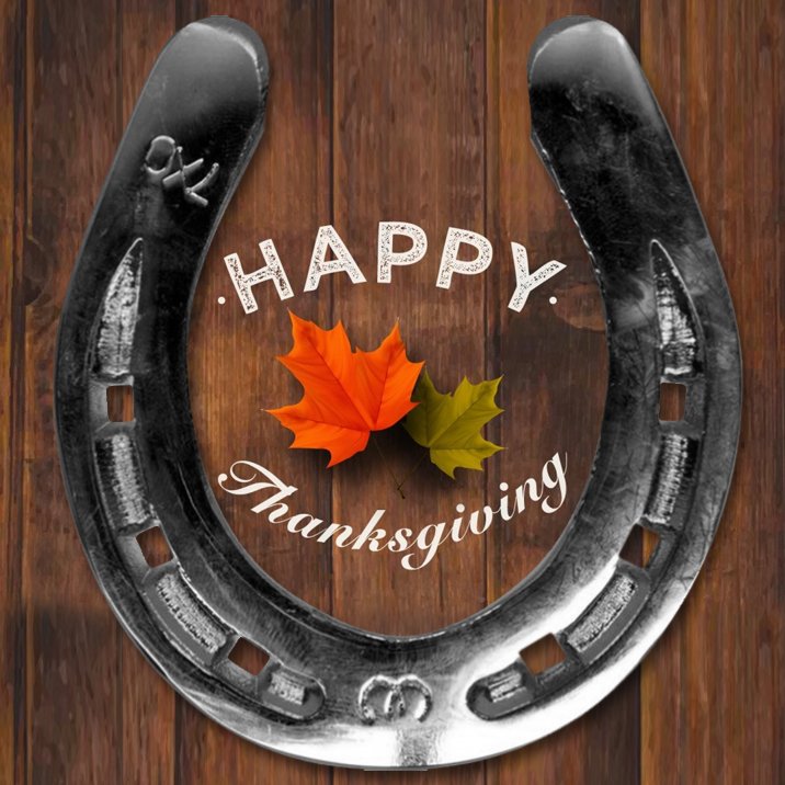 To all my friends across the pond, Happy thanksgiving! 🐴🍂🍁