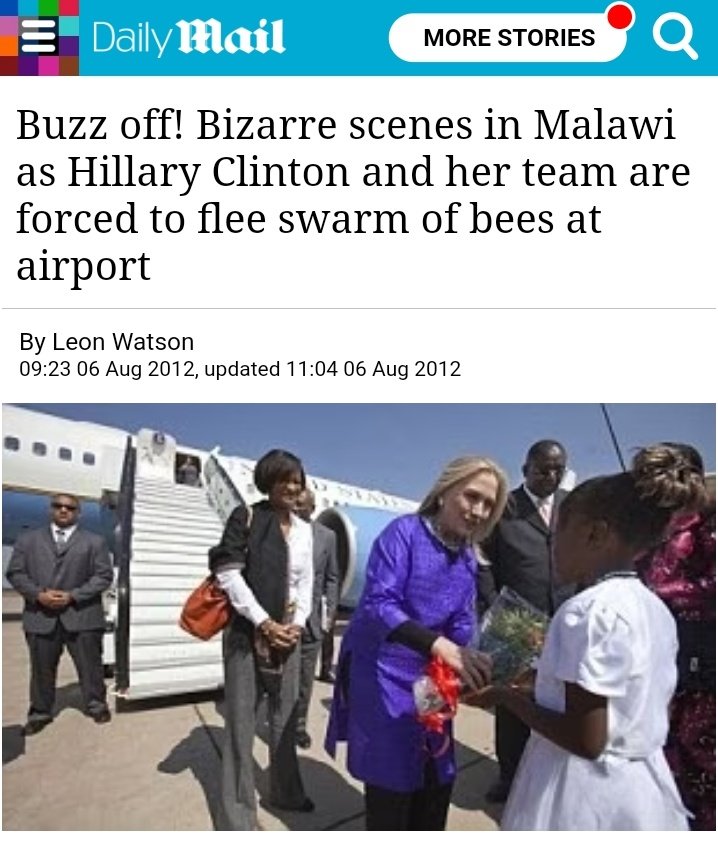 ShaneGore23's tweet photo. They don't have an army of men and women.
They have armies of bees๐
#MALZIM https://t.co/UfeT5YBS3O