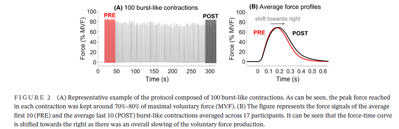 Training sequencing for sprinting and jumping tasks: Early rate of force development (~50ms), Is primarily determined by high neural drive (brain to muscle activation). After fatiguing the system (in this example by repeating 100 purely explosive contractions) You slow the…