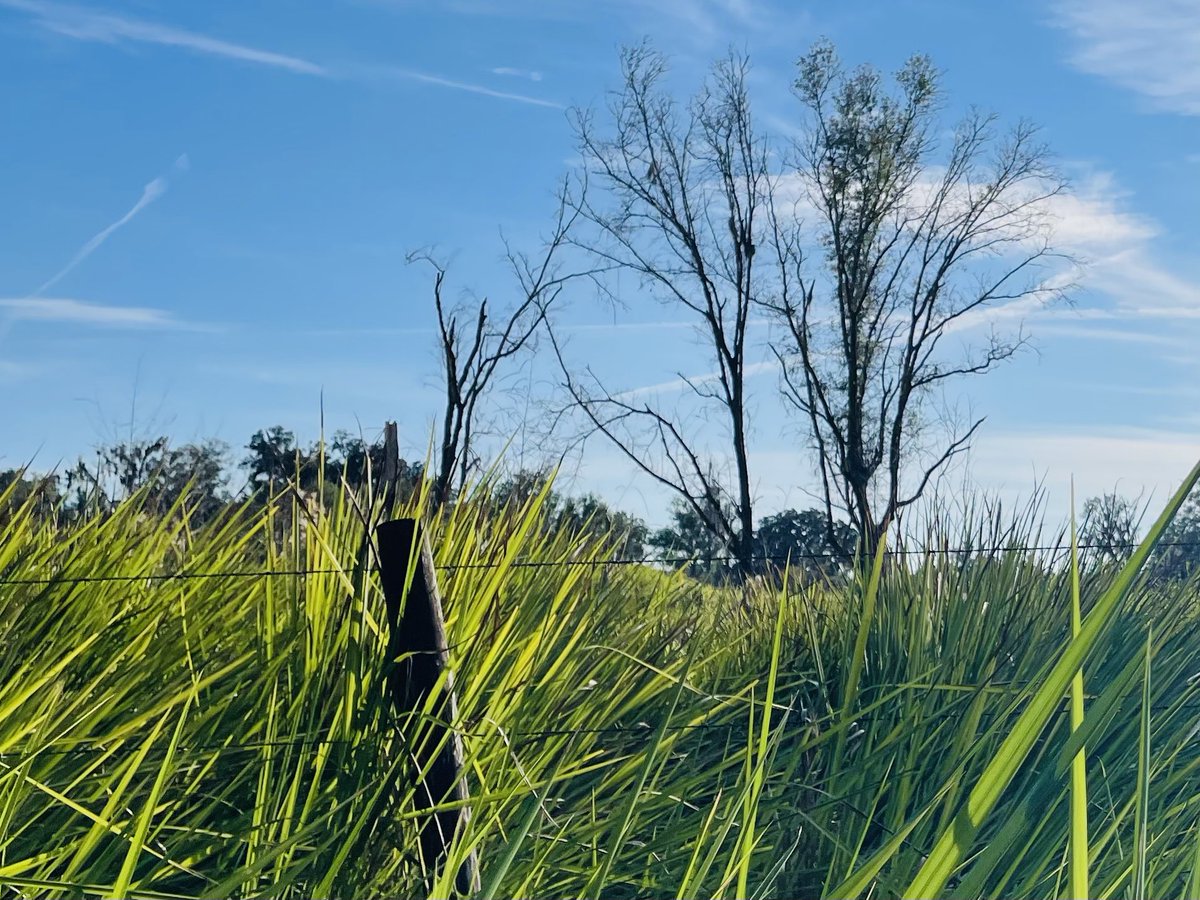 ericbroadwell's tweet image. Happy 🦃 Day!!!