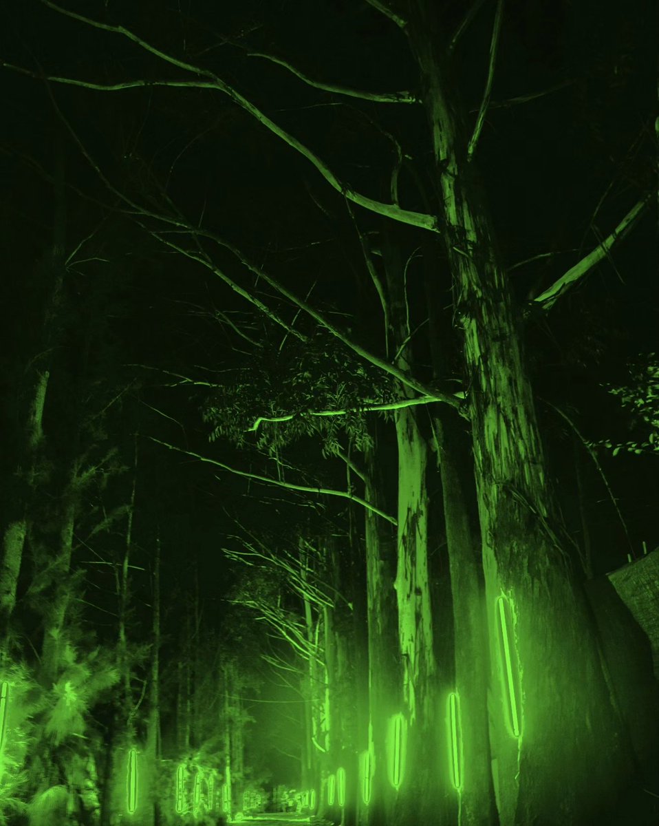 Don't miss out on this wonderful experience, te estamos esperando <a href="/GordoSZN/">GORDO</a> 💚 #gordoszn
#guatemala