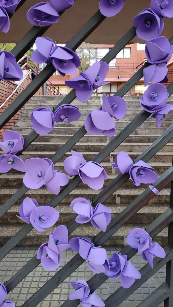 GrasAfa's tweet photo. 💜Gràcies al suport de les famílies de l'escola, l'AFA i el consell de les Dones d'Esplugues, hem aconseguit una decoració espectacular per commemorar el 25 de novembre! Avui, les portes de l'escola brillen de color lila en solidaritat amb aquesta important causa. https://t.co/78lV7E086k