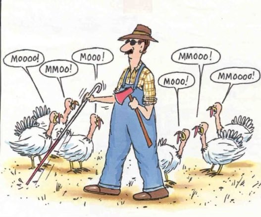 MccannPI's tweet image. Happy Thanksgiving my Friends!