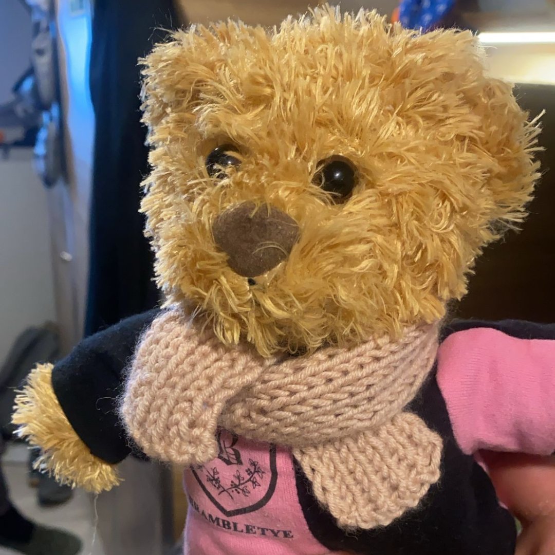 Our intrepid Brambletye Bear returned from his adventures to Antarctica this week.
The plucky bear was invited by Ms Kennedy’s partner, Tennessee, to join him leading an expedition on the Magellan Explorer.