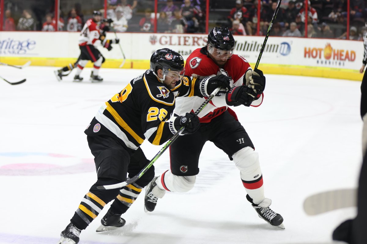 Cincinnati Cyclones tweet media