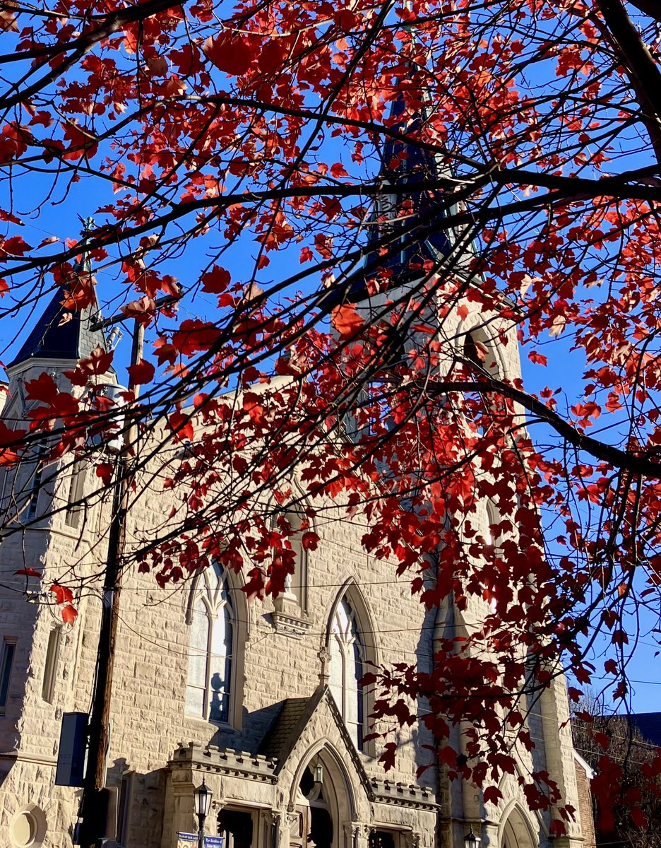 HobanGirl's tweet photo. Dare to stand out, be yourself, the coral midst the magenta. #architecture #DukeSt #RoyalSt #StMarysBasilica #OldTown #Alexandria #Thanksgiving 

Did have the Southside to myself for the most part. Solitude is lovely too, away from the madding crowd. #reflection #thankful https://t.co/93P6BImVFi
