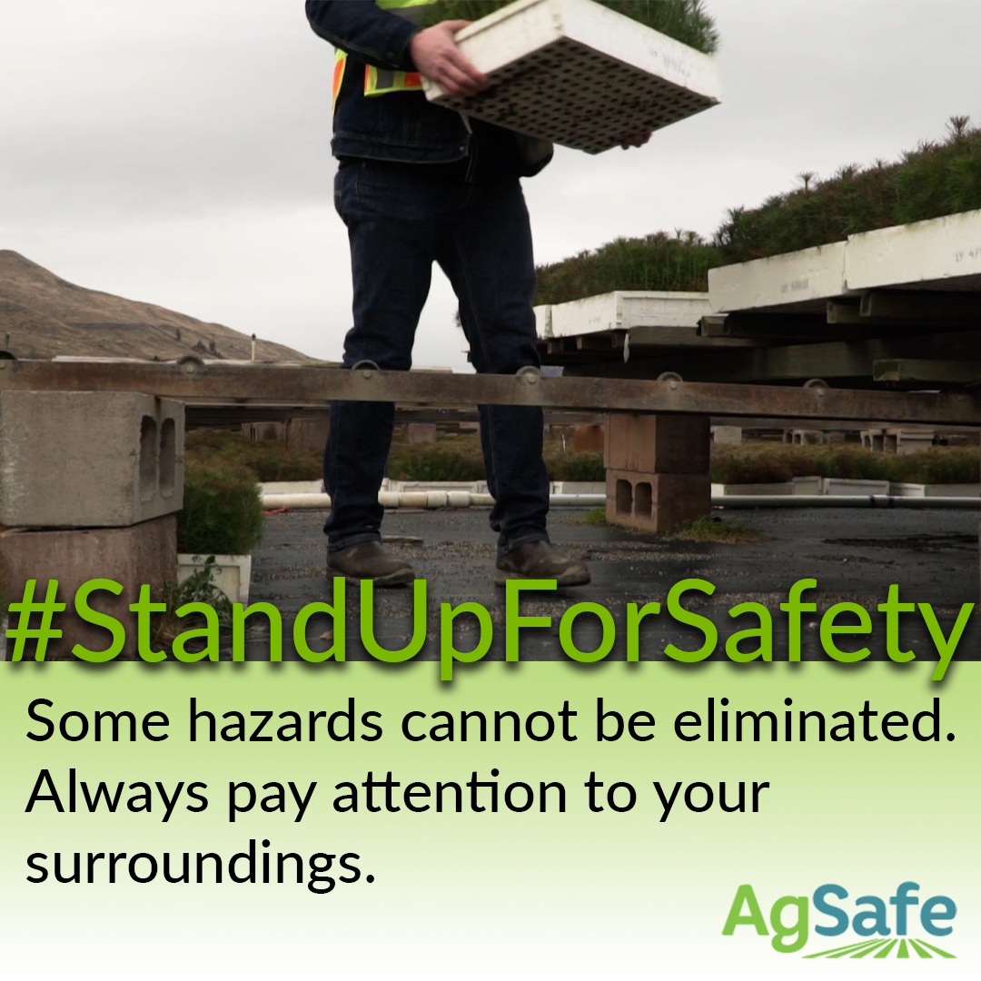 AgSafeBC's tweet photo. #FallPreventionMonthCA
Slips, trips and falls are a leading cause of injury in agricultural workplaces. Our video addresses common slipping, tripping and falling hazards and how to reduce the risk of injury.
https://t.co/blBo4R9bDO
#sliptripfall #farmsafety #workplacesafety https://t.co/iGtJnuMNLj