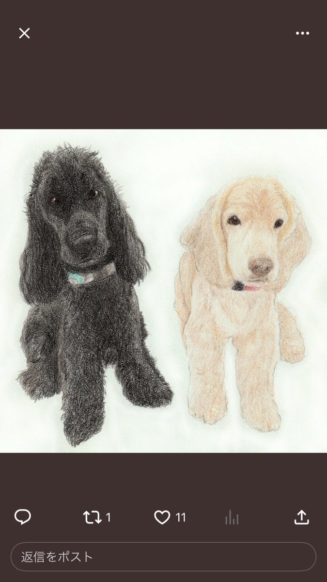 🦮マフィン＆🐕‍🦺マオ+おすかる tweet media