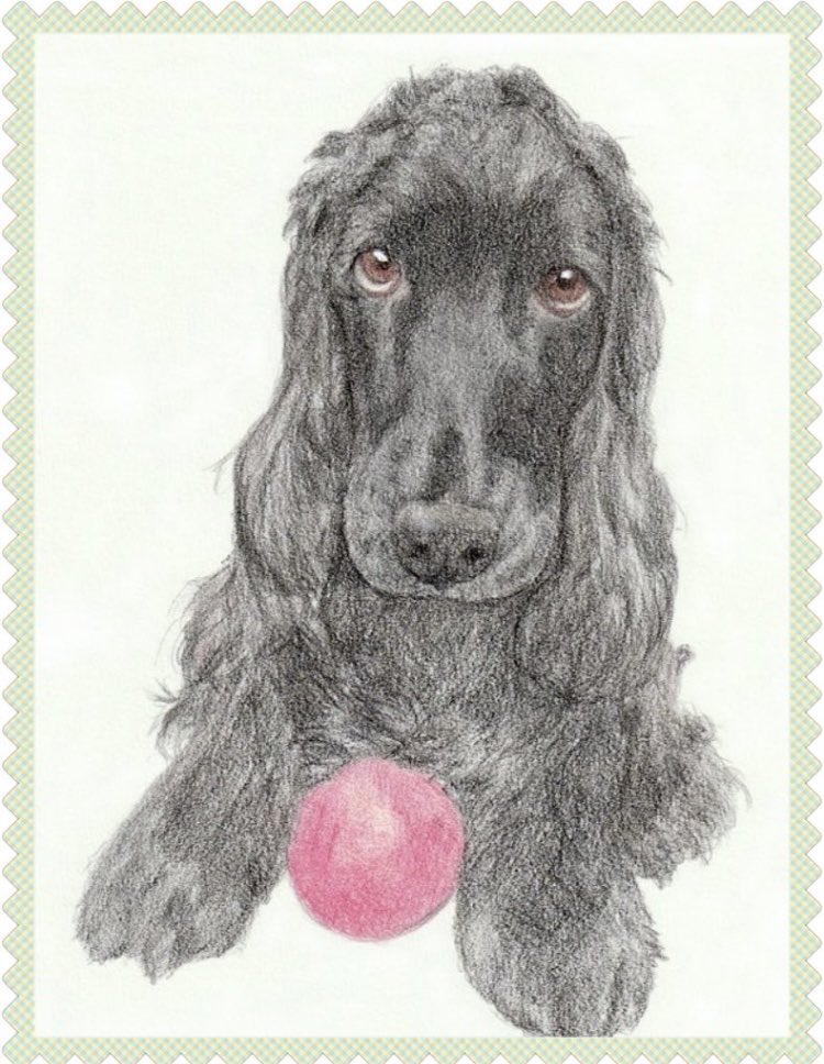 🦮マフィン＆🐕‍🦺マオ+おすかる tweet media