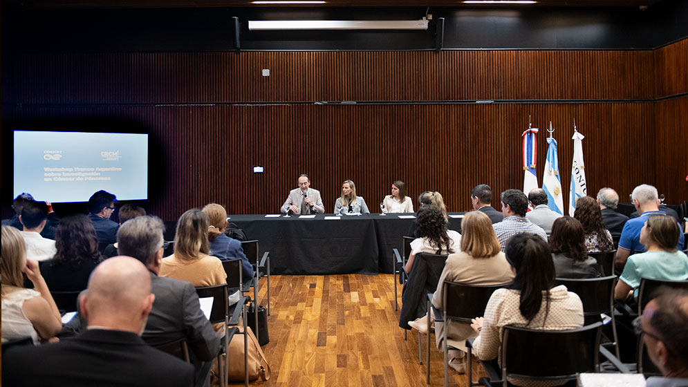 Ana Franchi tweet media