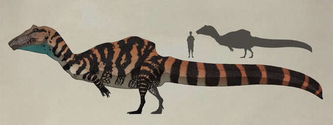 「oversized animal simple background」 illustration images(Latest)
