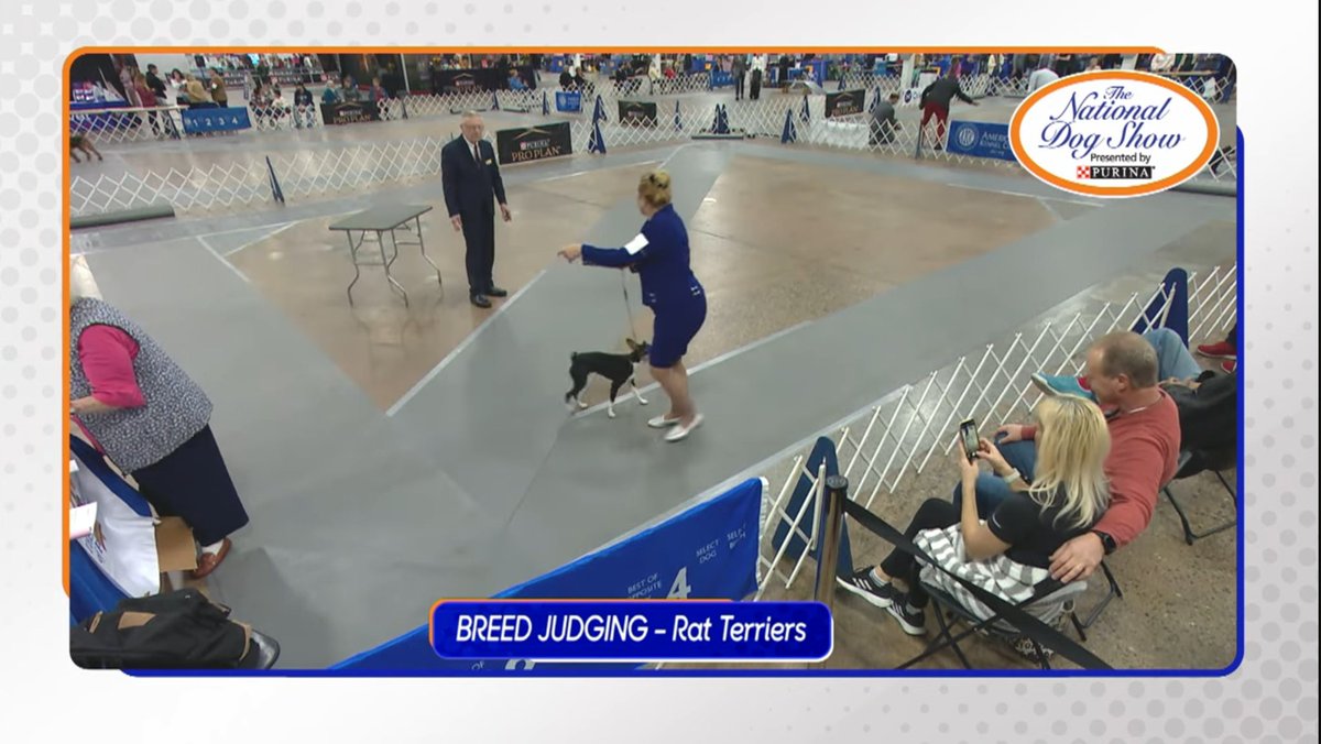 brianlring's tweet image. Great #QRcode execution driving a TV audience on NBC to a #secondscreen livestream on #YouTube. Below, find the presentation of the code in bcast &amp;amp; the live stream landing #FutureOfTV