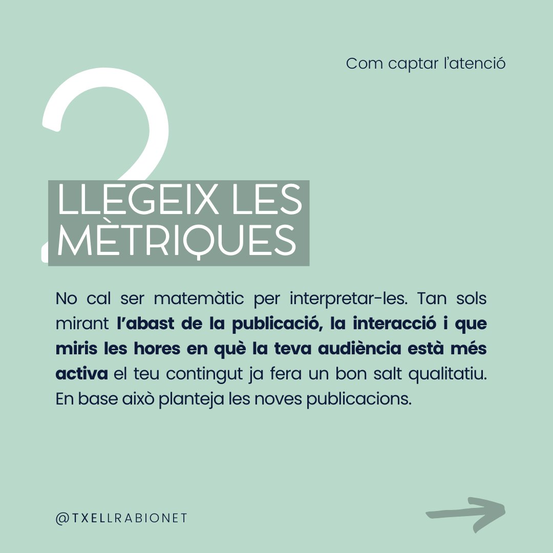 txellrabionet tweet media
