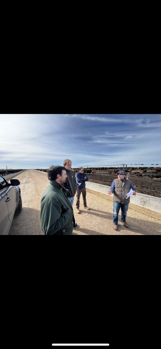MatiasGuigou_'s tweet photo. En la búsqueda de la mejora continua y bajo las directrices del prof @DarioColombatto empezamos a aplicar algunos conceptos en los corrales.
1-conformar corrales homogéneos
 en pesos (objetivo no más de 50kg entre las puntas en menos de 3 días)
@adp_uruguay 
@nachoMartinezE https://t.co/l50Yowsgrr