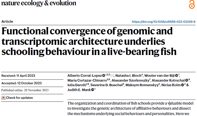 Awesome study of guppy #collectivebehaviour from @judithmank and Niclas Kolm in @NatureEcoEvo
nature.com/articles/s4155…

Like it? Check out our @RSocPublishing special issue putting collective behaviour in the context of evolution
royalsocietypublishing.org/doi/10.1098/rs…