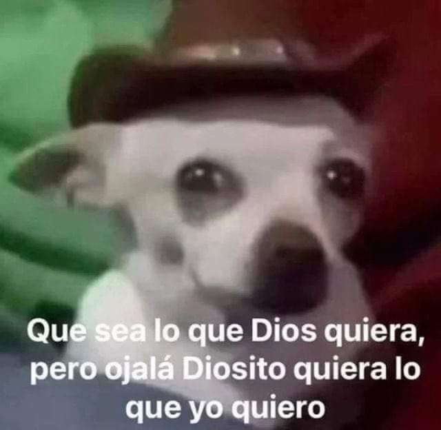 Alicefndz00's tweet photo. @jmgukspace Tendremos G.C.F in Tokyo prt2🥹💗🙏🏼🕯️🕯️🕯️🕯️🕯️🕯️🕯️🕯️🕯️🕯️🕯️🕯️ https://t.co/zinJhYMJ6L