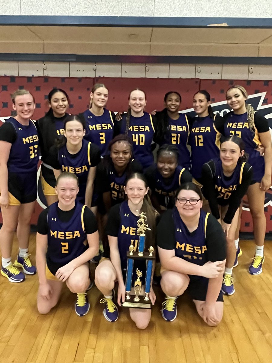 MesaHighGirlsbball tweet media