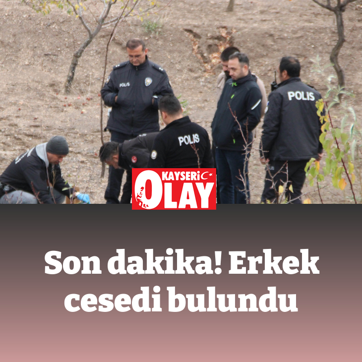 SON DAKİKA! ERKEK CESEDİ BULUNDU
kayseriolay.com/son-dakika-erk…

#Kayseri #kayserihaber #kayserisondakika #kayserigüncel #intihar #canınakıydı