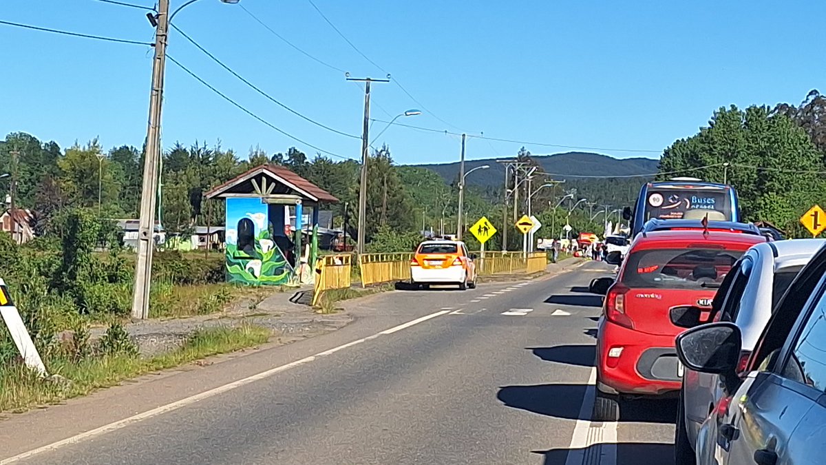 Crosiz_'s tweet photo. Camino tomado en Pishuinco #ValdiviaCL https://t.co/ROuQFze1tT
